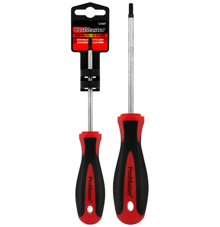 RUUVIMEISSELI TX20 5X100MM kuva